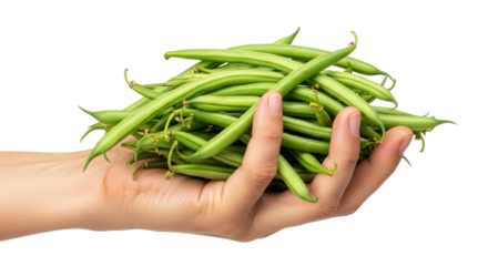 a handful of fresh green beans natures goodness in your palm, isolated on transparent background