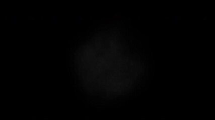 Consecutive shots gun fire animation