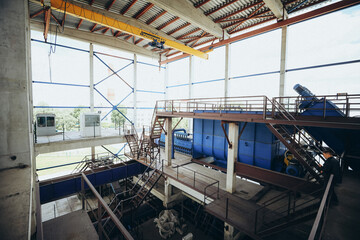 beet cleaning and feeding plant