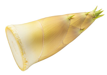 透明背景に分離された茶色と緑色のタケノコのクローズアップ写真 春の食材の単独写真