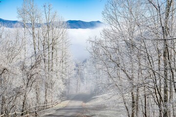 highlands NC winter