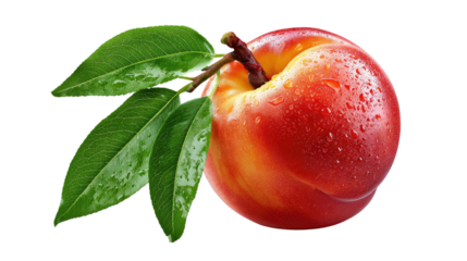 Juicy Nectarine: A close-up of a ripe nectarine, its vibrant skin glistening with droplets of water, paired with fresh green leaves, presenting the epitome of natural freshness and sweetness.