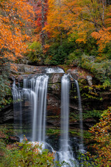 jacksonville, florida