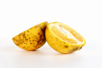 Halved Orange Fruit Studio Shot Juicy Citrus Segments and Ripe Texture
