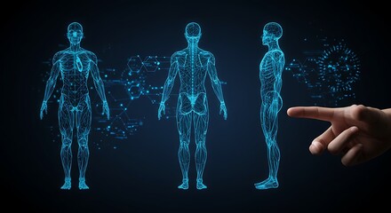 Human Anatomy Hologram Scan.