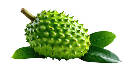 Soursop Fruit: A vibrant, fresh soursop fruit with textured skin and green leaves. A natural, nutritious delight, showcasing its unique qualities.