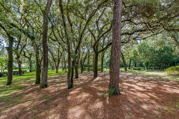 jacksonville, florida, city, view, landscape, panorama, sky, town, travel, cityscape, architecture, skyline, panoramic, sea, clouds, buildings, urban, europe, building, summer, tourism, aerial, hill, 