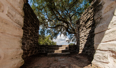 old stone stairs and wall with tree in the background