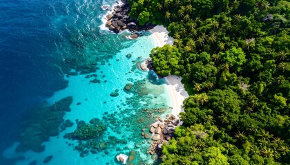 Aerial view of a tropical beach and coastline