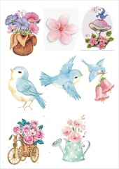 birds and flowers
