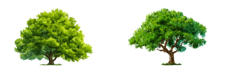 Set of a tree icon isolated on transparent background.