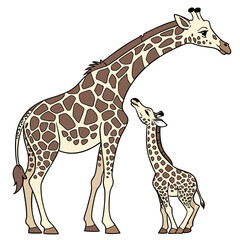 giraffe vector illustration