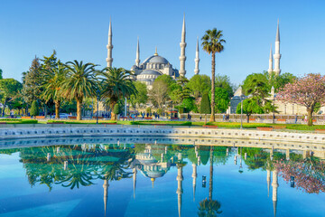 Naklejka premium Blue Mosque, Istanbul, Turkey