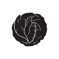 Cabbage Vector (1).eps