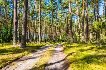 Fototapete bei efototapeten.de bestellen   