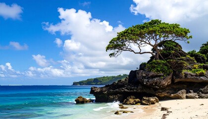 Tropical beach scene with a lone tree
