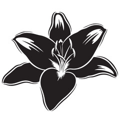 Stylized Black and White Lily Flower Illustration