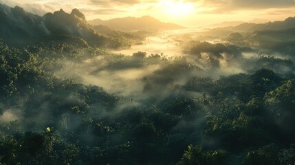 Fototapeta premium Misty valley sunrise landscape