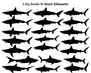 Collection of Shark Silhouettes in Various Poses A Diverse Group of Marine Predators silhouette collection shark silhouettes