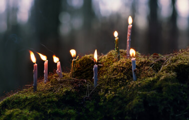 burning wax candles in forest, dark natural abstract background. magical candles for witchcraft....