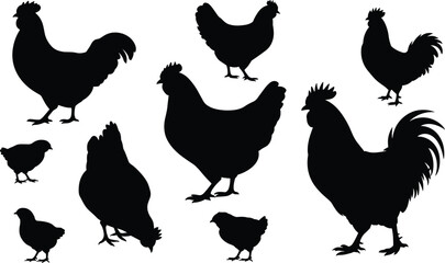 Chicken silhouette set, poultry vector illustration, farm animal icons, black hen and chick shapes, rustic livestock graphic collection