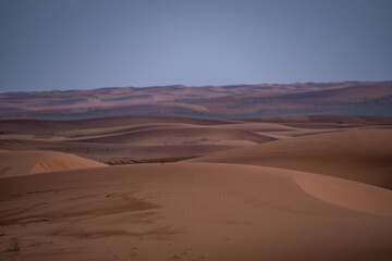 Saudi Arabia Desert Landscape 