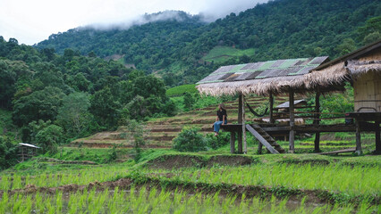 A woman sitting on wooden hut balcony in greenery rice terraces on cloudy day