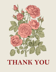 Roses fabric blooming realistic isolated flowers. Vintage background. Set thank you wildflowers. Wallpaper baroque. Drawing engraving. Vector illustration © Наталья Лобенко