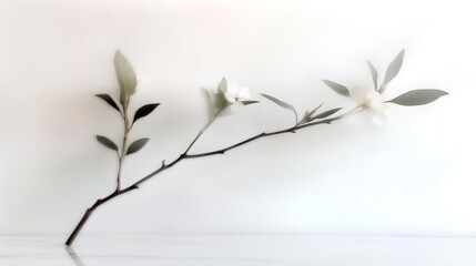 A branch of a tree is shown in a blurry image. The branch is thin and has a few leaves on it. The image has a calm and serene mood, as the focus is on the natural beauty of the tree branch
