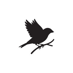 Obraz premium Bird on Branch Silhouette