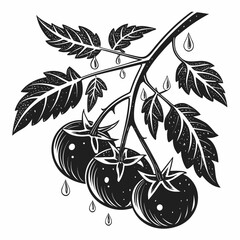 vector illustration of a cherry