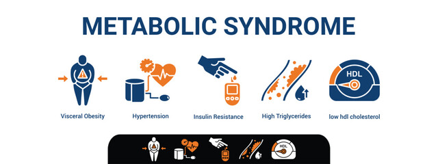 Symptoms of Metabolic Syndrome banner web icon vector illustration concept with an icon of Hypertension, Insulin Resistance, High Triglycerides, Low HDL-Cholesterol, Visceral Obesity