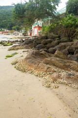 Obraz premium Mollusc shells attached to rocks by the shore. Caieira da Barra do Sul, fishermen village in the South of Florianopolis, Brazil