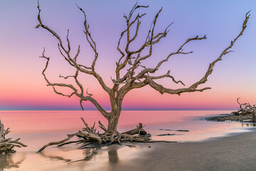 jekyll island, georgia