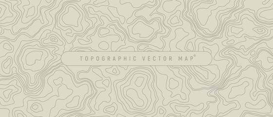 Minimal Topographic Map Lines Vector Background Illustration.