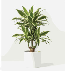 Indoor houseplant with pointed green leaves in white pot, perfect for home decor, botanical themes, air purifying, and minimalist design