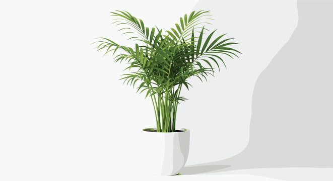 Potted Areca palm houseplant with green feathery fronds in white vase for botanical vector illustration and indoor tropical decor content