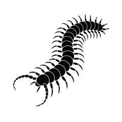 Black silhouette of a centipede with many legs on white background