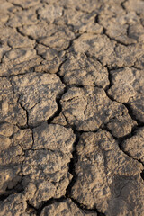 Cracked ground surface,Dried wasteland with cracked brown mud surface. Closeup panorama with deep...