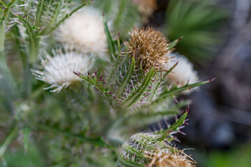 abstract long exposure