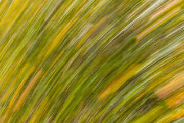 Fototapeta premium abstract long exposure