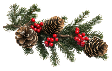 PNG Christmas tree branch christmas branches berries.