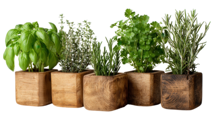 Wooden Plant Pots with Herbs: A flat lay of wooden plant pots filled with fresh herbs like basil, rosemary, and thyme, isolated on a Transparent background, PNG file.
