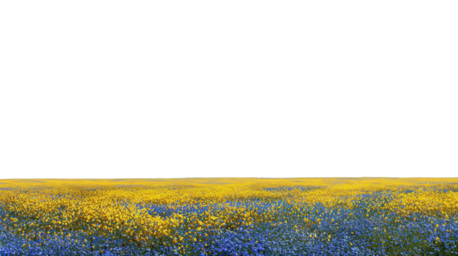 Blue Sky Over Flowering Field background isolated on a Transparent background, PNG file.