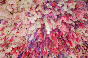A vibrant installation of artificial flowers hanging from the ceiling, featuring a mix of pink, purple, red, and white blossoms. Made from fabric and plastic  