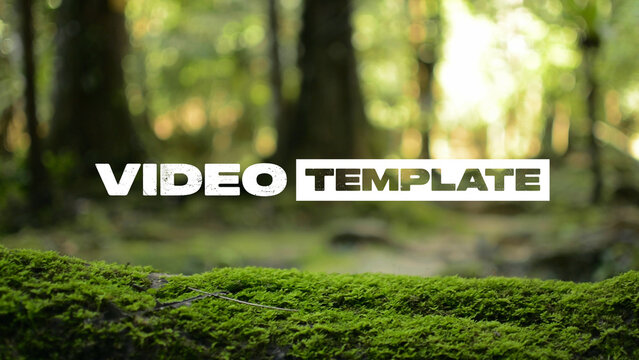 Titles Video Template