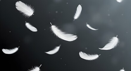 Obraz premium Patrón de plumas de pájaro volador blanco sobre fondo oscuro