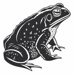 frog vector illustration
