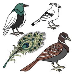 collection of birds