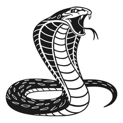 vector illustration of a snake